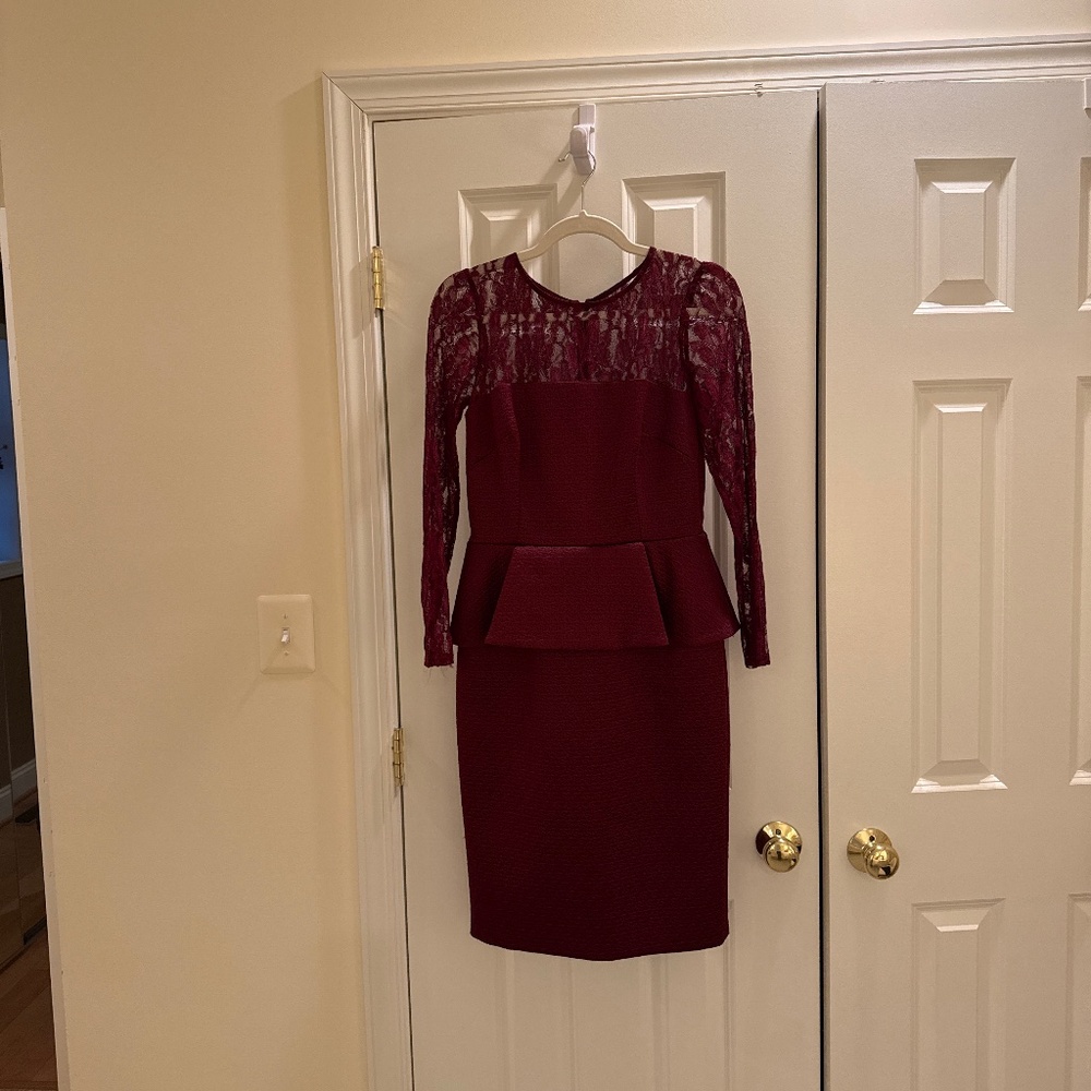 David Meister Dress with Lace